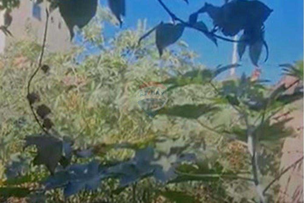 Terreno - Venda - Vespasiano , Minas Gerais - WhatsApp Image 2025-08-03 at 16.10.04.jpeg - 870411108-8