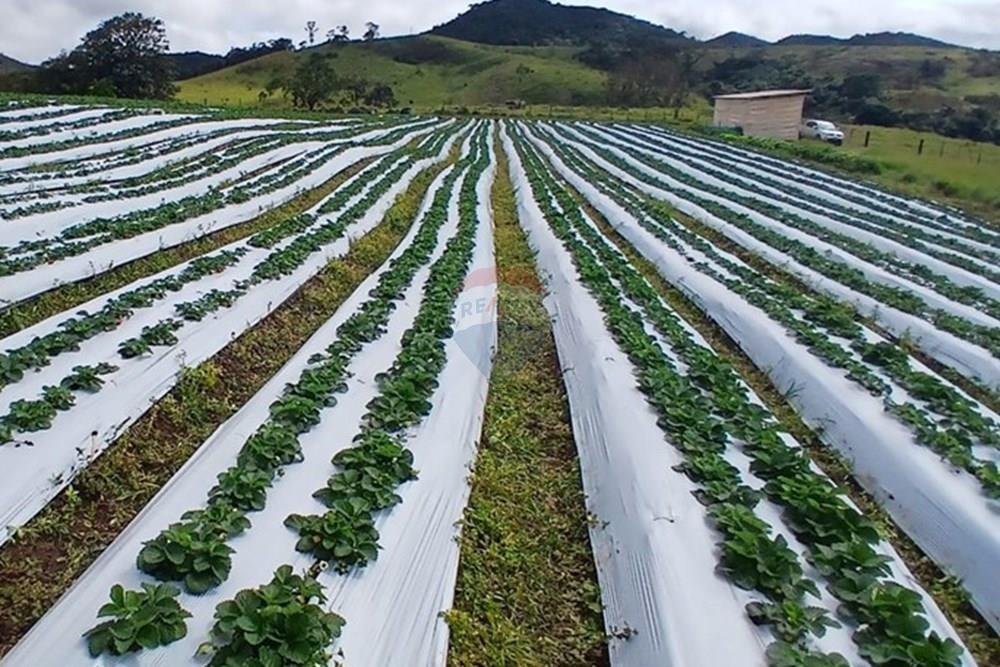 Fazenda - Venda - Serro , Minas Gerais - WhatsApp Image 2025-11-22 at 10.11.25 (2).jpeg - 870411101-18