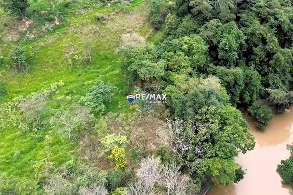 Chácara / Sítio / Fazenda - Venda - Ipanema , Minas Gerais - 5_image_5_watermark_dom._01062025_173958.jpg - 870451001-156