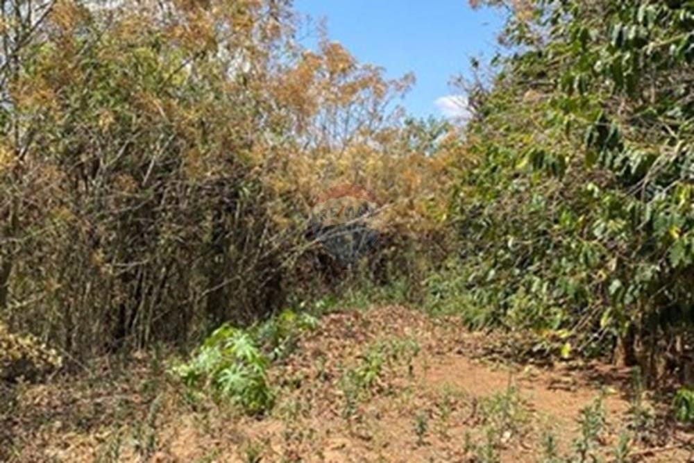 Chácara / Sítio / Fazenda - Venda - Casa Grande , Minas Gerais - WhatsApp Image 2025-11-10 at 11.27.39.jpeg - 870411117-20