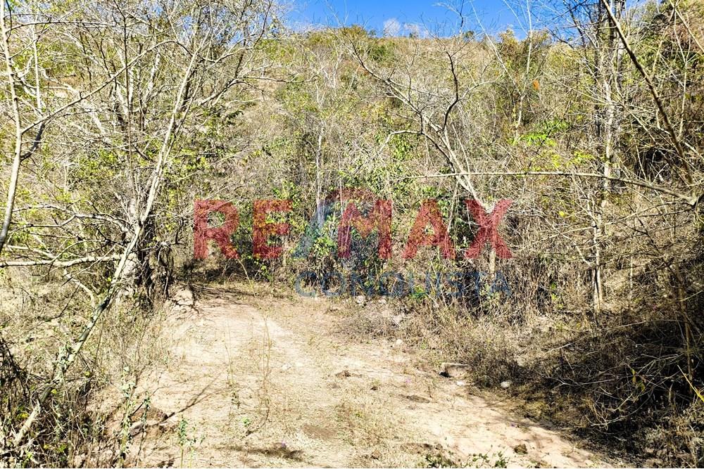 Chácara / Sítio / Fazenda - Venda - Ipanema , Minas Gerais - 5_image_5_watermark_seg._15092025_150521.jpg - 870451013-72