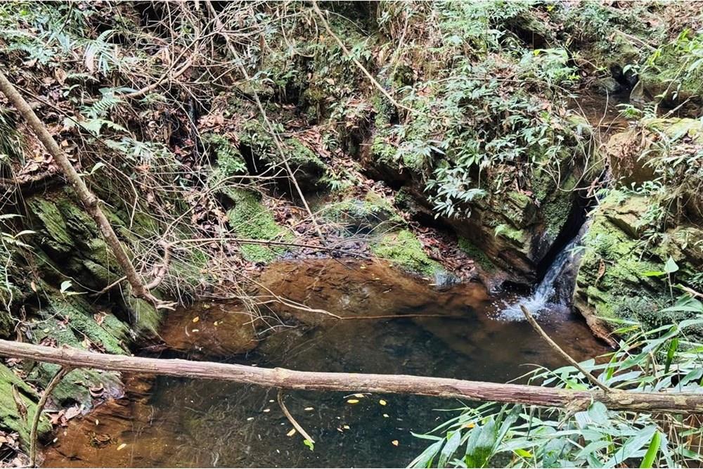 Chácara / Sítio / Fazenda - Venda - Caeté , Minas Gerais - IMG-20251030-WA0346.jpg - 870421116-90