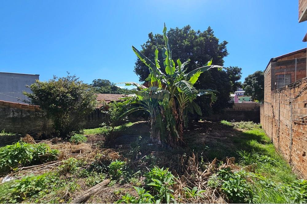 Terreno - Venda - Contagem , Minas Gerais - 20250412_095352.jpg - Fachada - 870411099-17