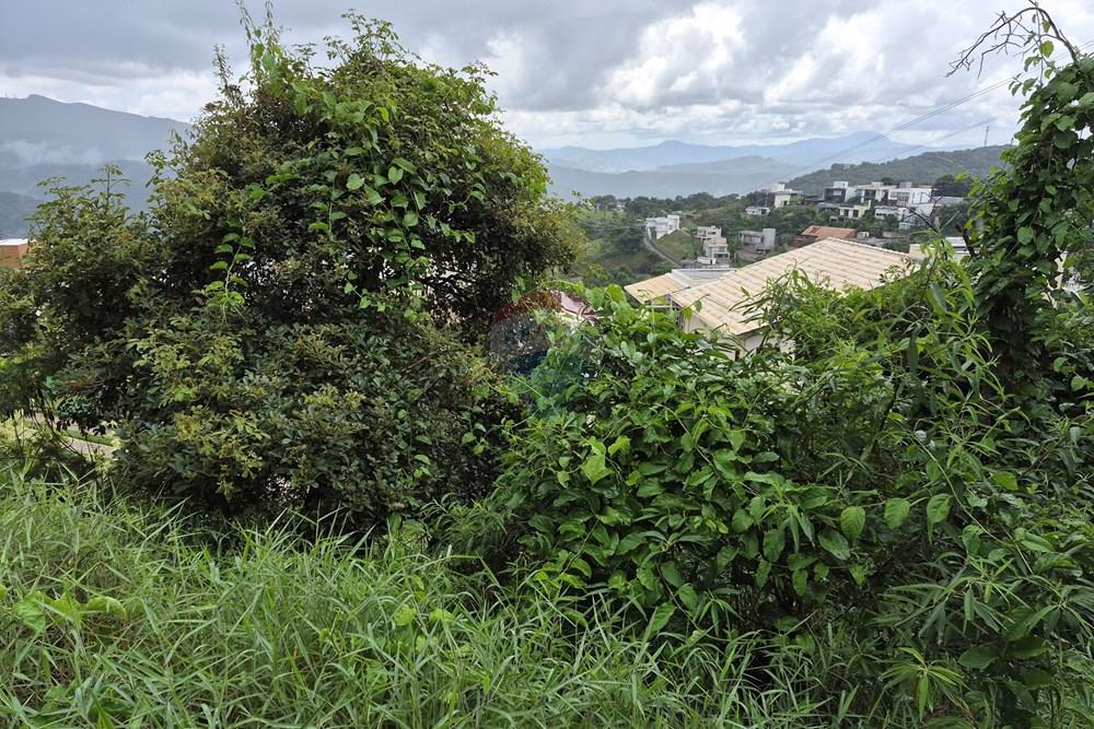 Terreno - Venda - Nova Lima , Minas Gerais - 20260318_105511.jpg - 870421084-35