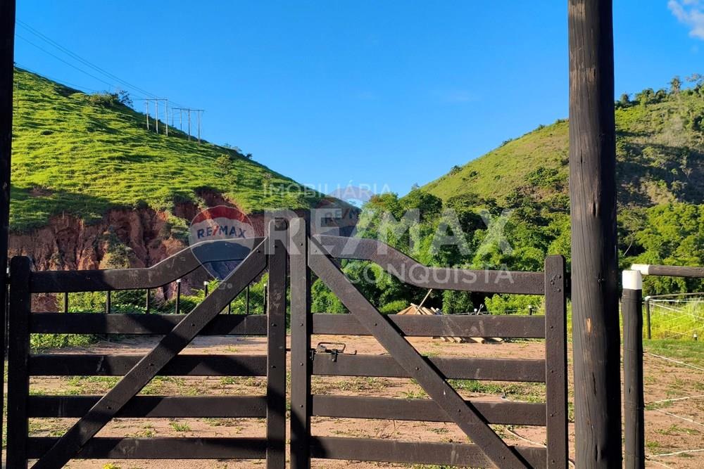 Chácara / Sítio / Fazenda - Venda - Conceição de Ipanema , Minas Gerais - 5_image_5_watermark_dom._11012026_131659.jpg - 870451004-113