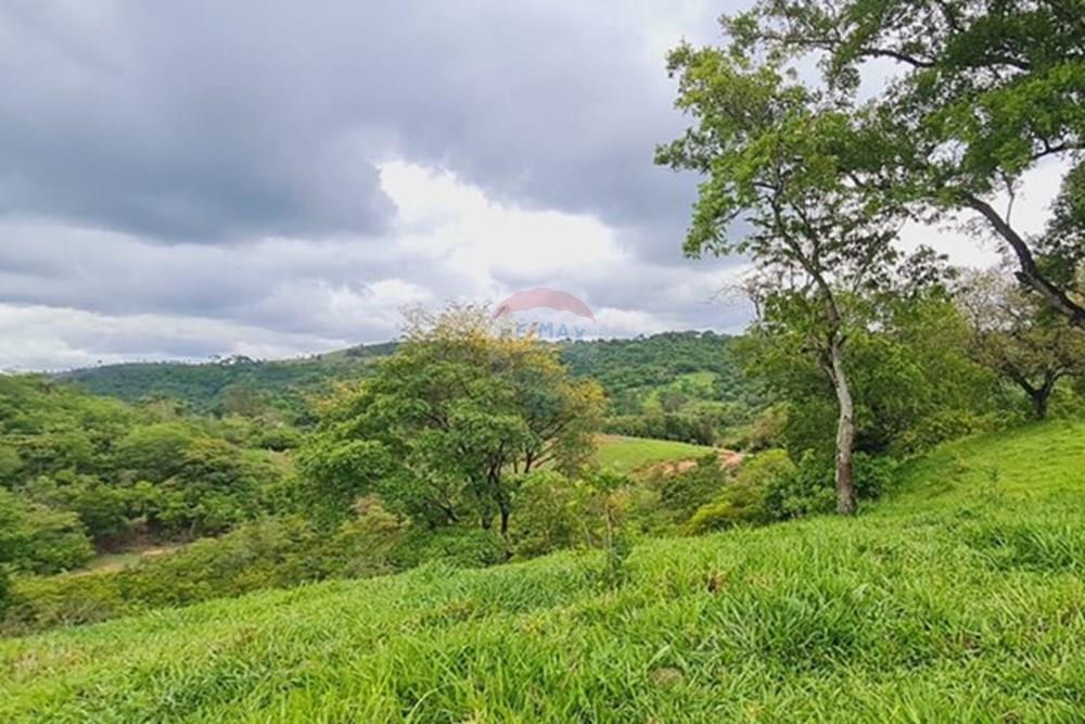Fazenda - Venda - Pedro Leopoldo , Minas Gerais - WhatsApp Image 2025-12-11 at 15.17.57 (3).jpeg - 870411117-34