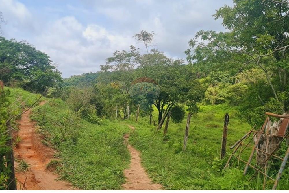 Fazenda - Venda - Pedro Leopoldo , Minas Gerais - WhatsApp Image 2025-12-11 at 15.20.33.jpeg - 870411117-34