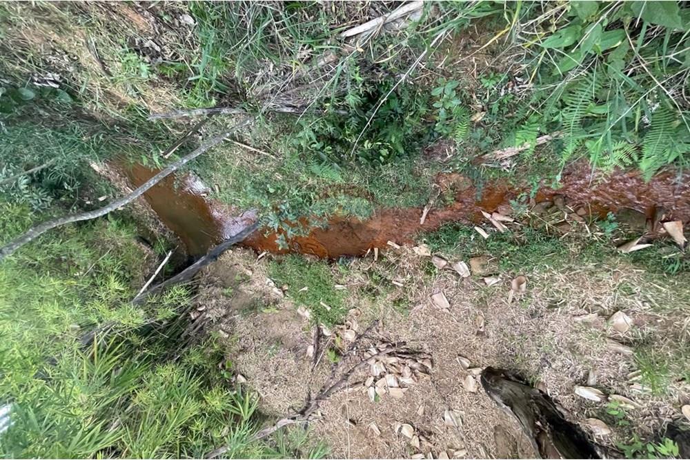 Rezidential - Ferma - Araxá , Minas Gerais - BR - 08.jpg - 870431045-46