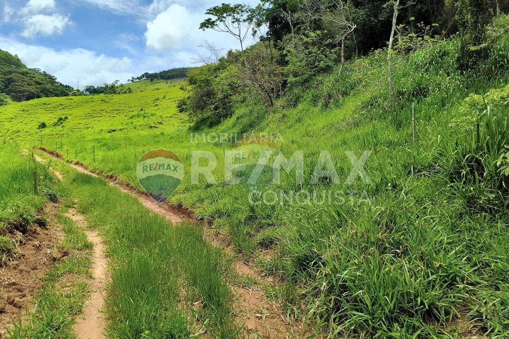 Chácara / Sítio / Fazenda - Venda - Taparuba , Minas Gerais - 3_image_3_watermark_ter._17022026_130732.jpg - 870451001-165