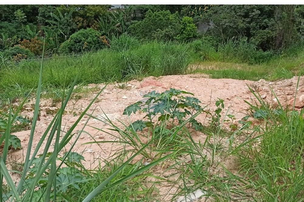 Terreno - Venda - Ibirité , Minas Gerais - 5.jpg - 870421081-3