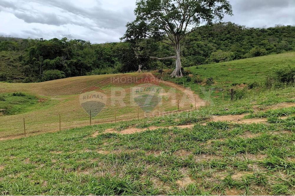 Chácara / Sítio / Fazenda - Venda - Ipanema , Minas Gerais - 2_image_2_watermark_qui._20112025_124901.jpg - 870451013-80