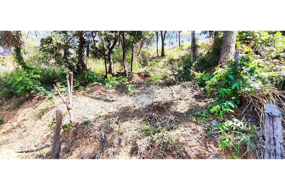 Terreno - Venda - Vespasiano , Minas Gerais - IMG_20250815_110105 (1).jpg - 870251115-3