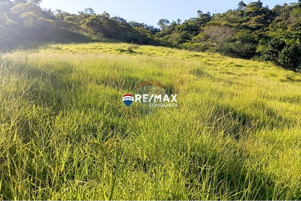 Chácara / Sítio / Fazenda - Venda - Pocrane , Minas Gerais - WhatsApp Image 2025-04-08 at 09.40.28(2).jpeg - 870451001-124