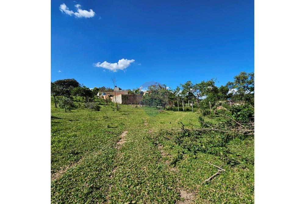 Terreno - Venda - Contagem , Minas Gerais - 20260112_152455.jpg - Quintal - 870241034-67