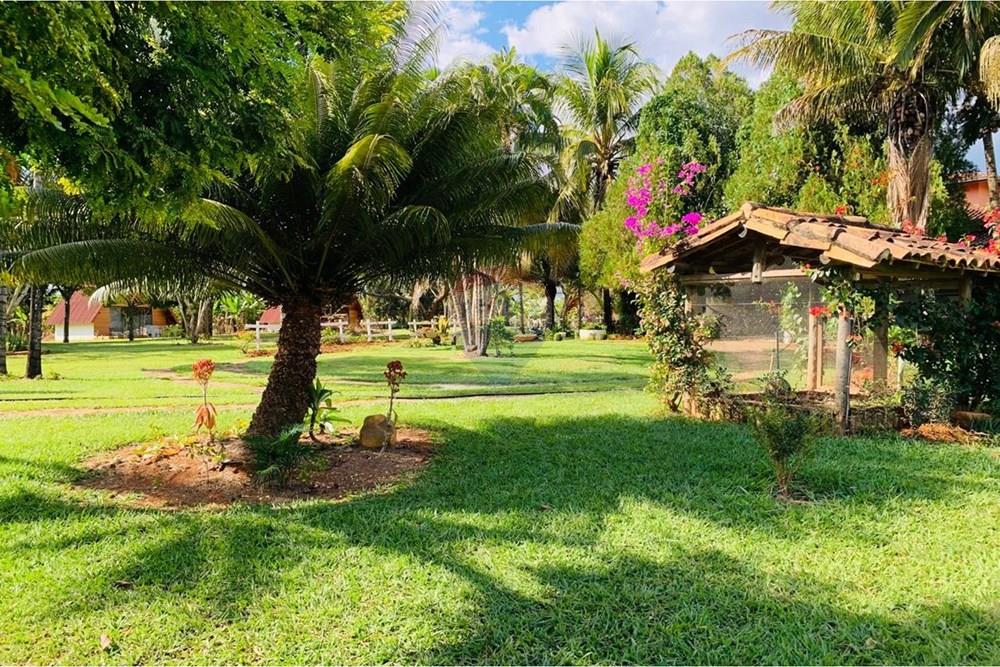 Chácara / Sítio / Fazenda - Venda - Delfinópolis , Minas Gerais - IMG-20250624-WA0004.jpg - 870721005-35