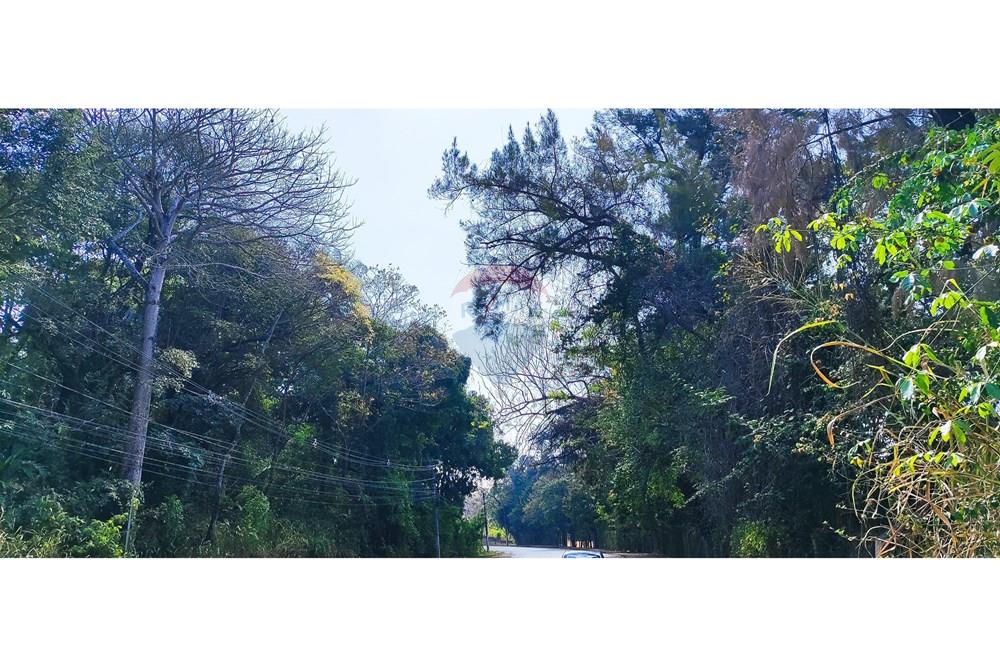 Terreno - Venda - Vespasiano , Minas Gerais - IMG_20250815_110200.jpg - 870251115-3