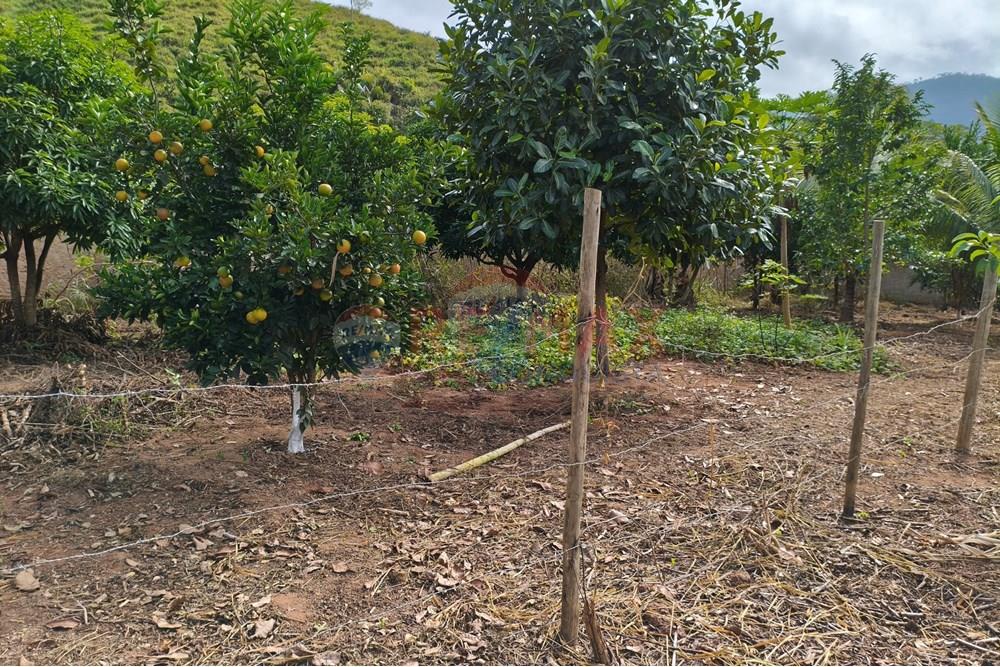 Chácara / Sítio / Fazenda - Venda - Ipanema , Minas Gerais - 3_image_3_watermark_sáb._21062025_165406.jpg - 870451013-66