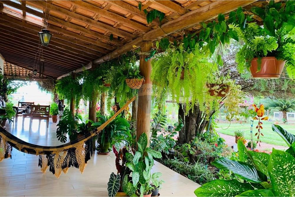 Chácara / Sítio / Fazenda - Venda - Delfinópolis , Minas Gerais - IMG-20250623-WA0014.jpg - 870721005-35