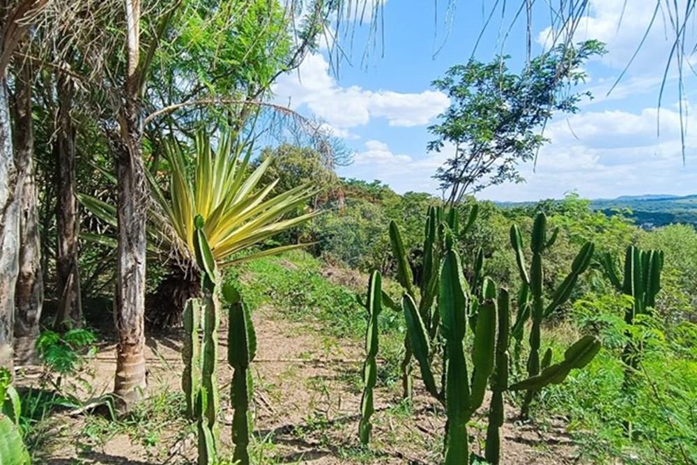 Terreno - Venda - Brumadinho , Minas Gerais - WhatsApp Image 2025-11-20 at 10.07.29.jpeg - 870421014-352