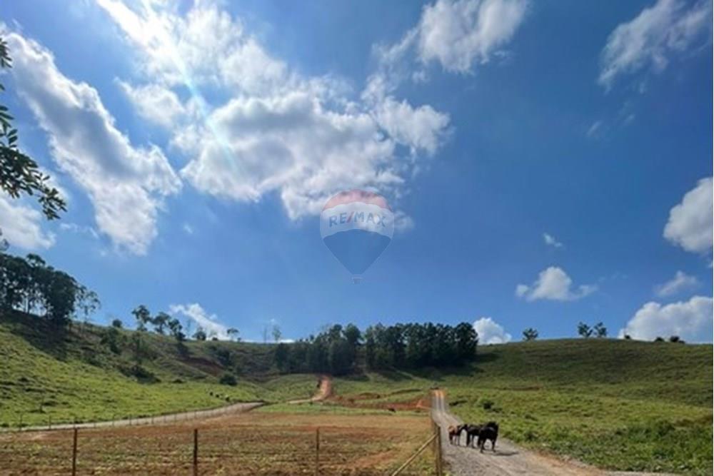 Chácara / Sítio / Fazenda - Venda - Timóteo , Minas Gerais - IMG-20250528-WA0024.jpg - 870711027-23