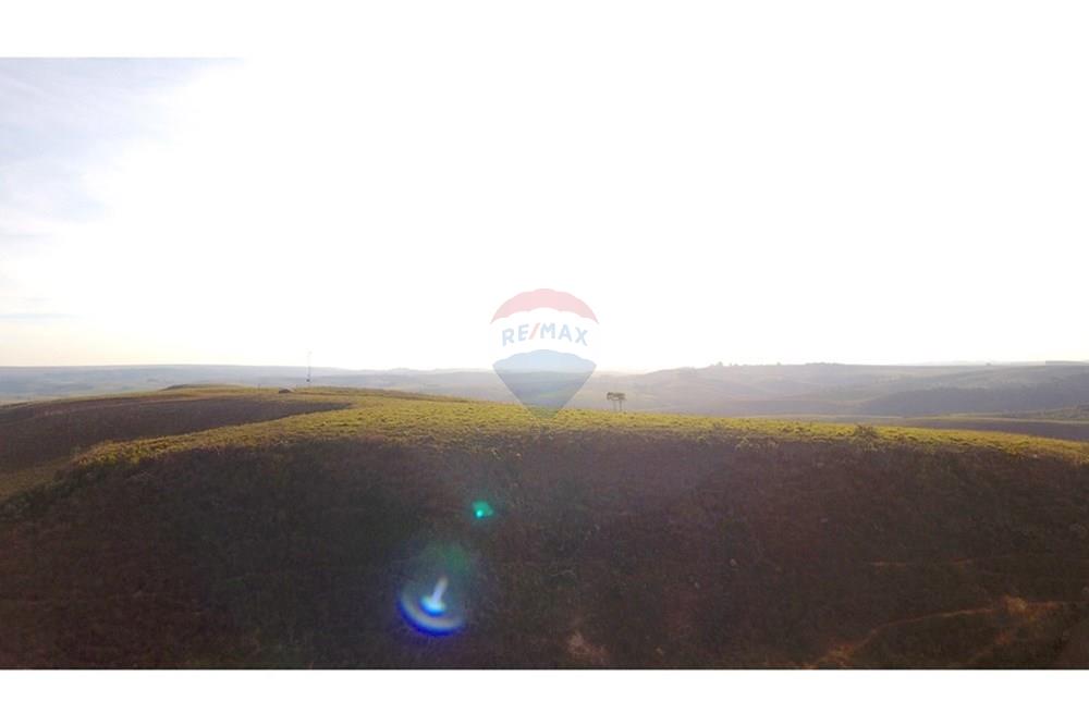 Fazenda - Venda - São Roque de Minas , Minas Gerais - DJI_0019.JPG - 870431039-49