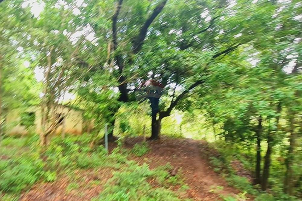 Fazenda - Venda - Pedro Leopoldo , Minas Gerais - WhatsApp Image 2025-12-11 at 16.48.47.jpeg - 870411117-34