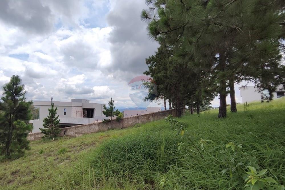 Terreno - Venda - Nova Lima , Minas Gerais - IMG_20250128_114922.jpg - 870421014-287