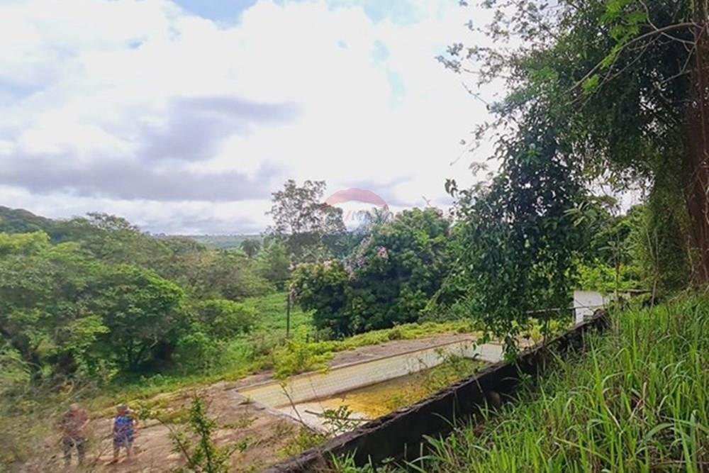 Fazenda - Venda - Pedro Leopoldo , Minas Gerais - WhatsApp Image 2025-12-11 at 15.19.22 (1).jpeg - 870411117-34