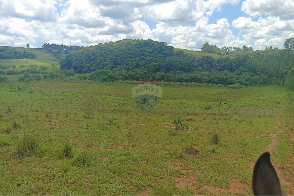 Chácara / Sítio / Fazenda - Venda - Cruzília , Minas Gerais - WhatsApp Image 2025-04-17 at 14.21.19.jpeg - 870361041-110