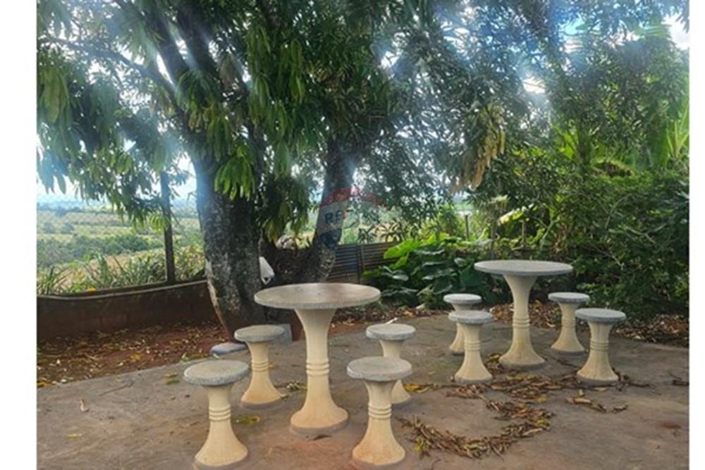 Chácara / Sítio / Fazenda - Venda - Itaú de Minas , Minas Gerais - cb1664f4-a647-4388-809e-7ba2f33701d6.jpg - 870731003-2