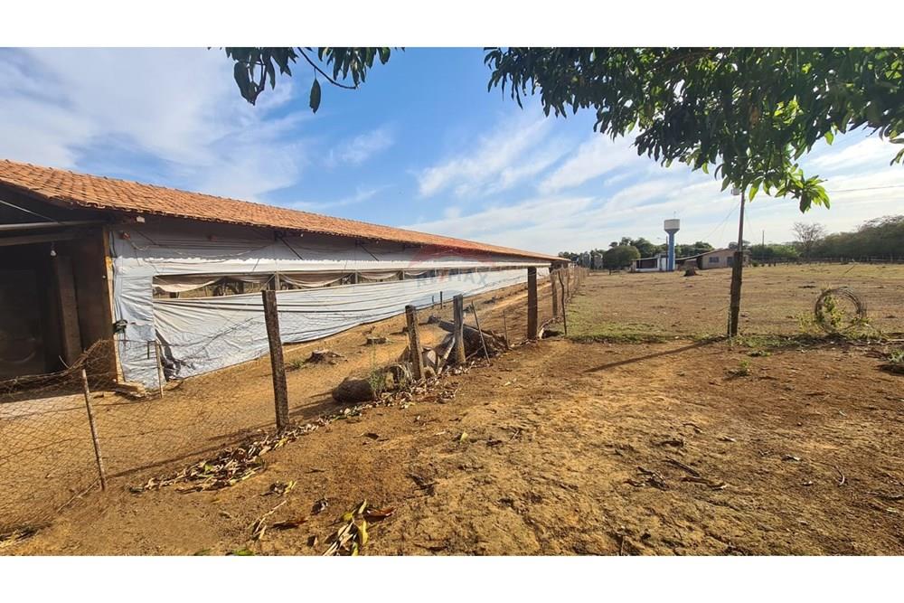 Chácara / Sítio / Fazenda - Venda - Uberaba , Minas Gerais - 08 Fazenda Venda R$ 6.500.000 em Uberaba na Remax 870291025-115.jpeg - 870291025-115