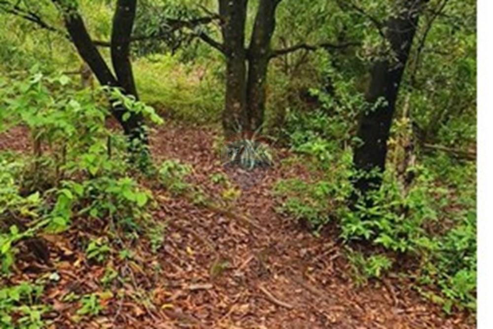 Fazenda - Venda - Pedro Leopoldo , Minas Gerais - WhatsApp Image 2025-12-11 at 16.48.48.jpeg - 870411117-34