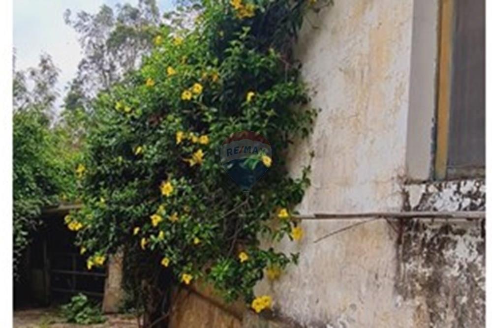 Fazenda - Venda - Pedro Leopoldo , Minas Gerais - WhatsApp Image 2025-12-11 at 15.18.39.jpeg - 870411117-34