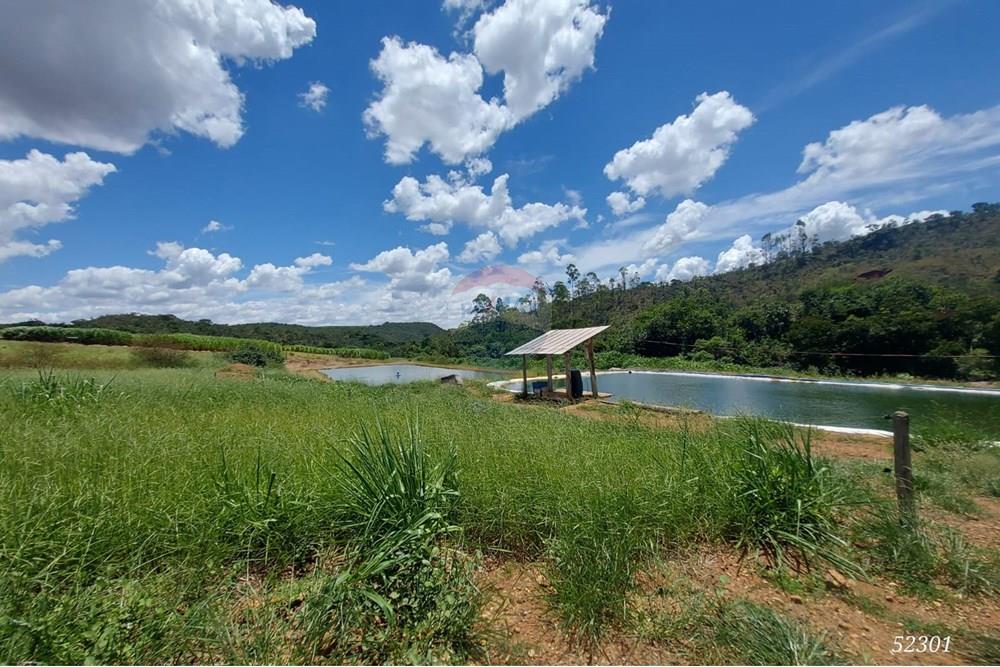 Chácara / Sítio / Fazenda - Venda - Perdizes , Minas Gerais - WhatsApp Image 2025-02-25 at 19.55.13.jpeg - 870431028-37