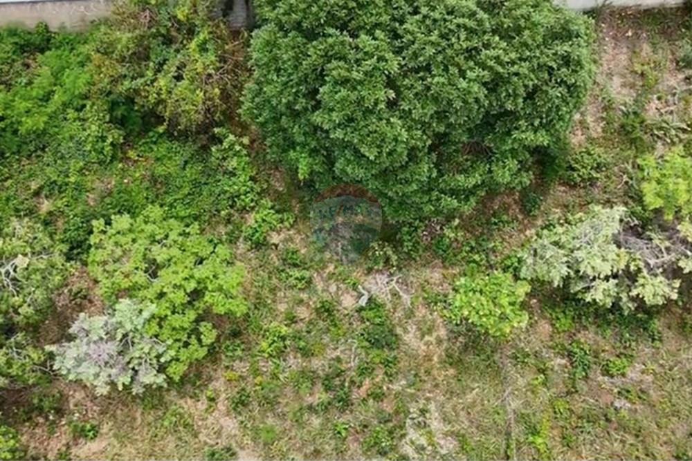 Terreno - Venda - Lagoa Santa , Minas Gerais - lote vista de cima.jpeg - 870761003-23