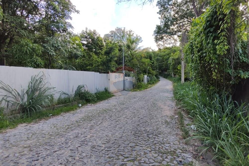 Chácara / Sítio / Fazenda - Venda - Santa Luzia , Minas Gerais - WhatsApp Image 2024-11-25 at 17.56.53.jpeg - 870421007-34