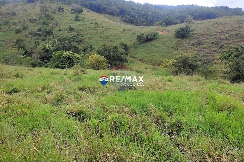 Terreno - Venda - Taparuba , Minas Gerais - 7_image_7_watermark_seg._12052025_112106.jpg - 870451001-127