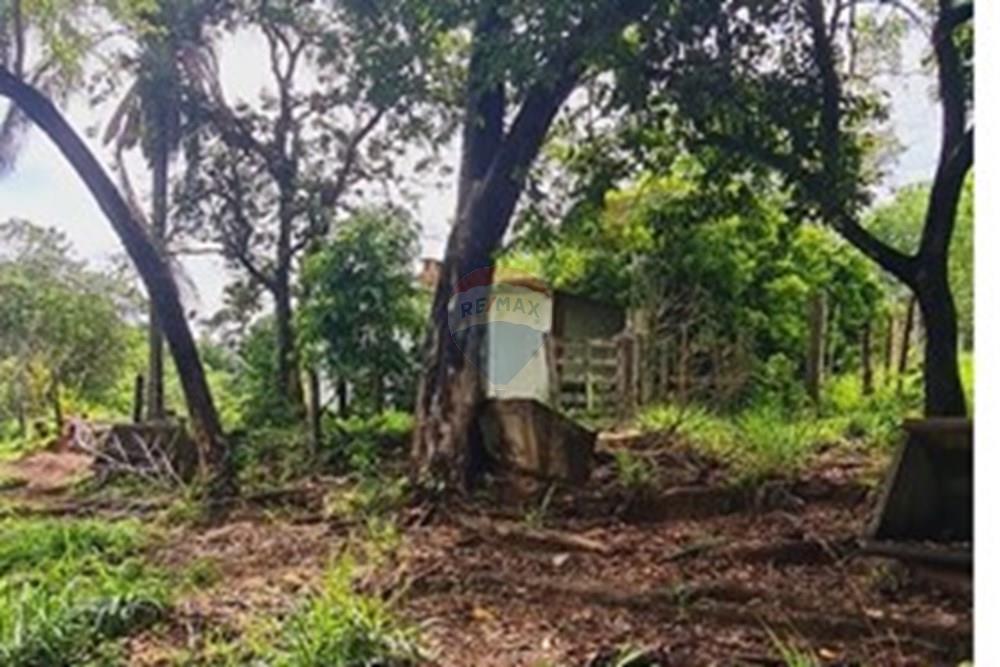 Fazenda - Venda - Pedro Leopoldo , Minas Gerais - WhatsApp Image 2025-12-11 at 16.48.36.jpeg - 870411117-34