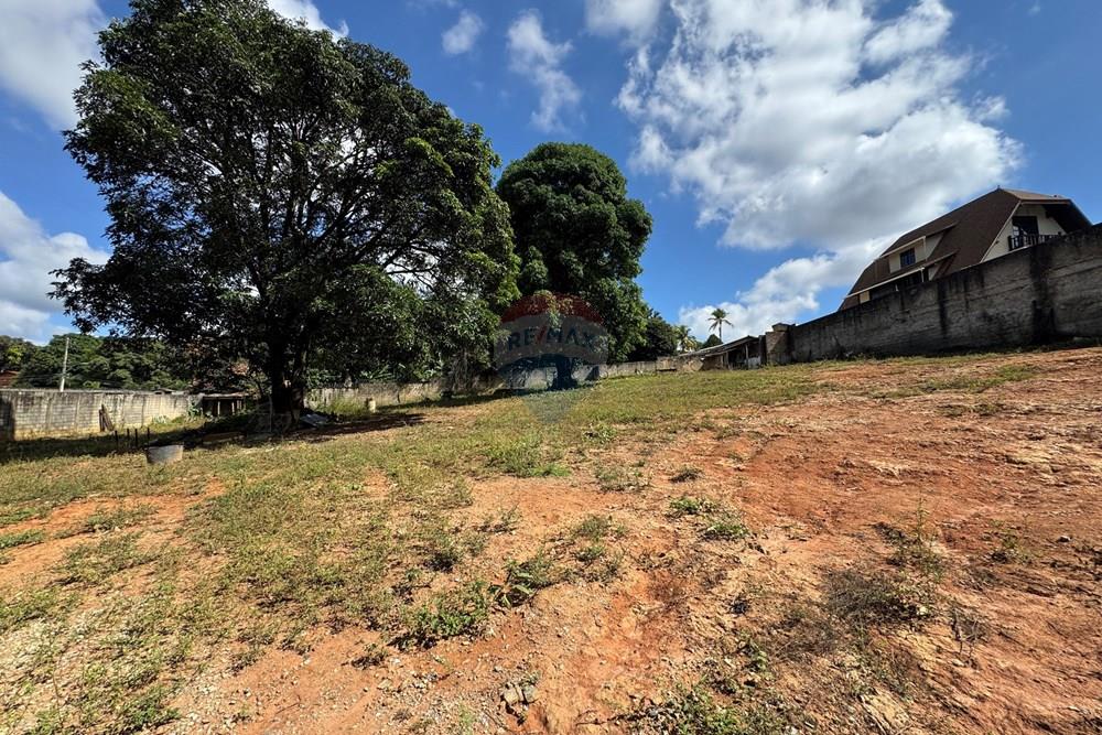 Terreno - Venda - Belo Horizonte , Minas Gerais - IMG_9662.JPG - 870411141-20