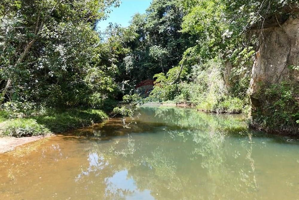 Chácara / Sítio / Fazenda - Venda - Delfinópolis , Minas Gerais - WhatsApp Image 2025-05-01 at 17.55.18.jpeg - 870721003-2