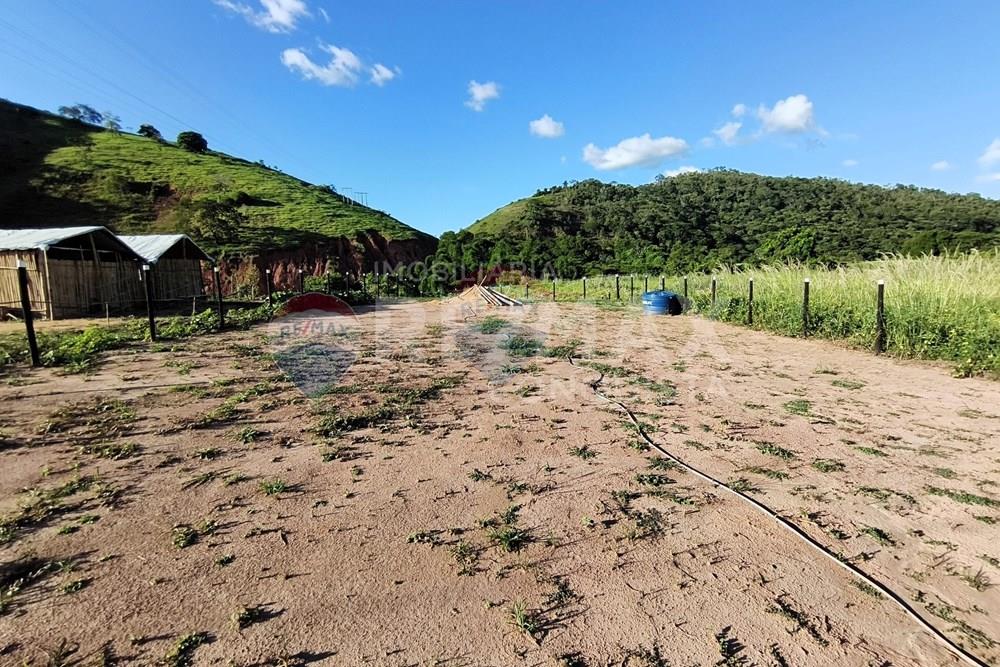 Chácara / Sítio / Fazenda - Venda - Conceição de Ipanema , Minas Gerais - 1_image_1_watermark_dom._11012026_131732.jpg - 870451004-113