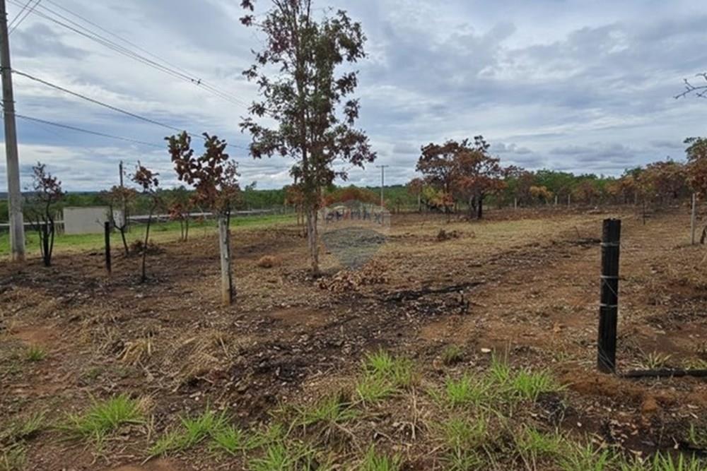 Terreno - Venda - Felixlândia , Minas Gerais - a14e4de9-39bf-4523-a43d-8edc0c2c34d8.jpeg - 870411117-32