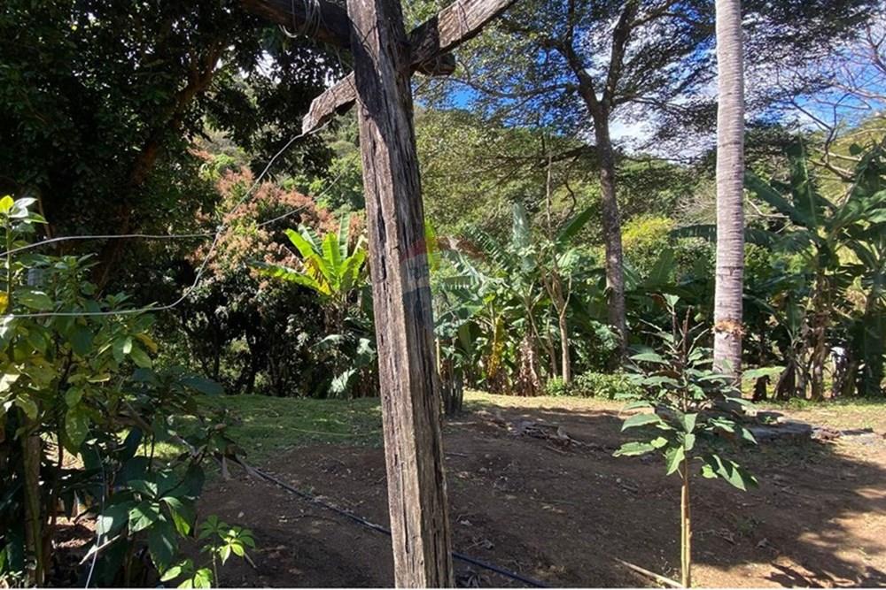 Chácara / Sítio / Fazenda - Venda - Ipatinga , Minas Gerais - WhatsApp Image 2025-10-09 at 17.37.05 (2).jpeg - 870711007-44