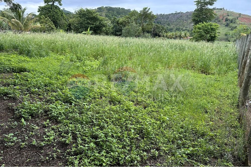 Chácara / Sítio / Fazenda - Venda - Ipanema , Minas Gerais - 3_image_3_watermark_ter._23122025_141337.jpg - 870451001-159