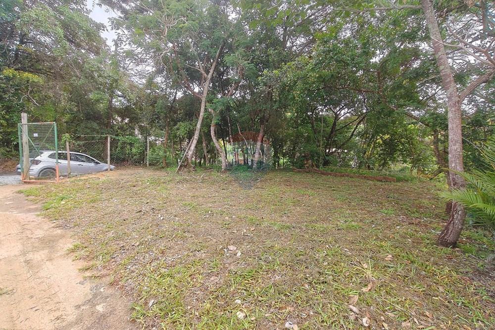 Chácara / Sítio / Fazenda - Venda - Santa Luzia , Minas Gerais - IMG20251220095258.jpg - 870421007-51