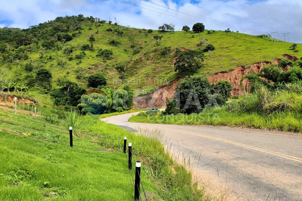 Chácara / Sítio / Fazenda - Venda - Conceição de Ipanema , Minas Gerais - 1_image_1_watermark_dom._11012026_131530.jpg - 870451004-113