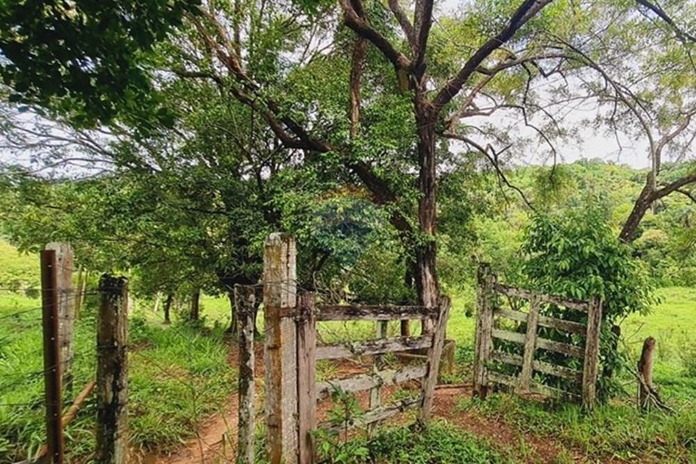 Fazenda - Venda - Pedro Leopoldo , Minas Gerais - WhatsApp Image 2025-12-11 at 15.19.27.jpeg - 870411117-34