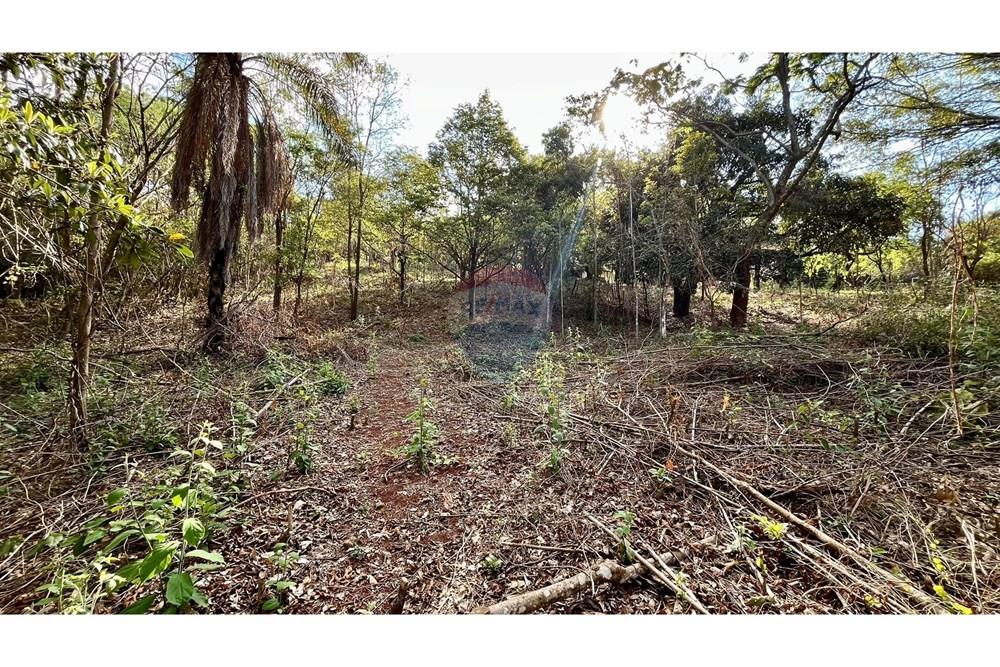 Chácara / Sítio / Fazenda - Venda - Nova Lima , Minas Gerais - WhatsApp Image 2025-10-23 at 11.25.23.jpeg - 870351032-22