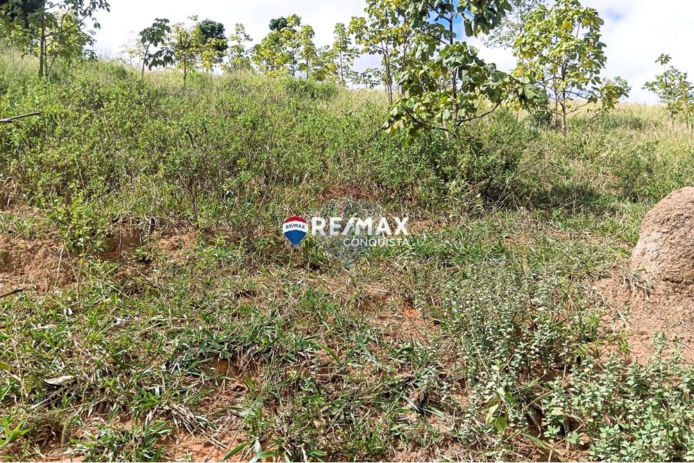 Chácara / Sítio / Fazenda - Venda - Conceição de Ipanema , Minas Gerais - 0_image_0_watermark_sáb._12042025_142028.jpg - 870451013-61