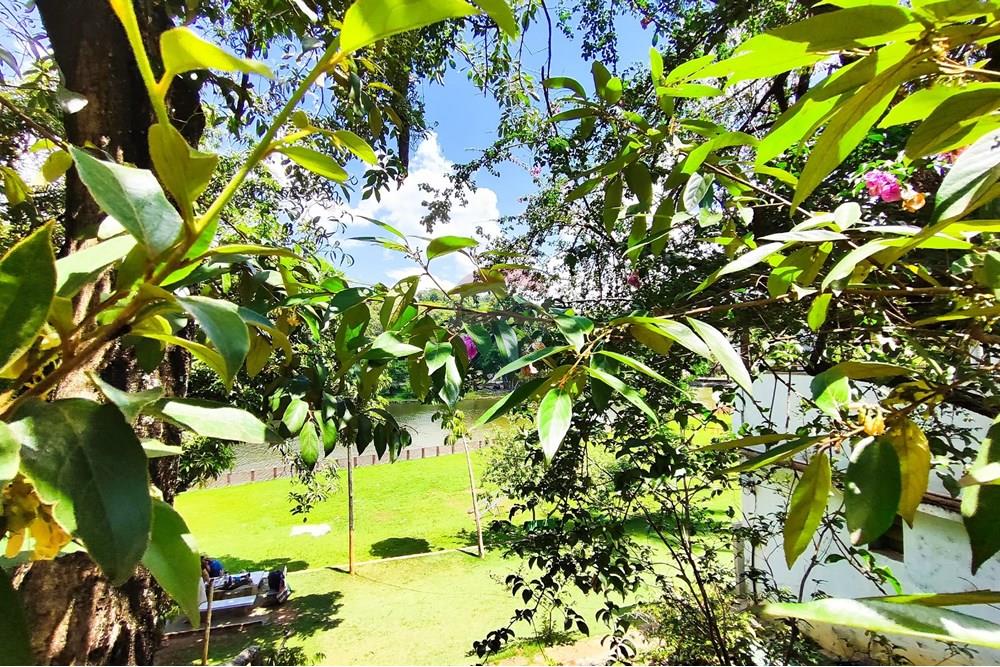 Terreno - Venda - Vespasiano , Minas Gerais - IMG_20251130_125910.jpg - Jardim Interno - 870251115-3